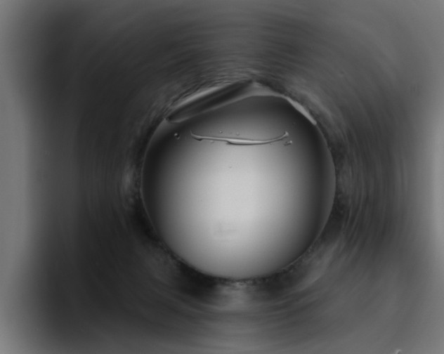 X0000094460079200711081334