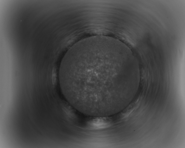 X0000094460080200711081334