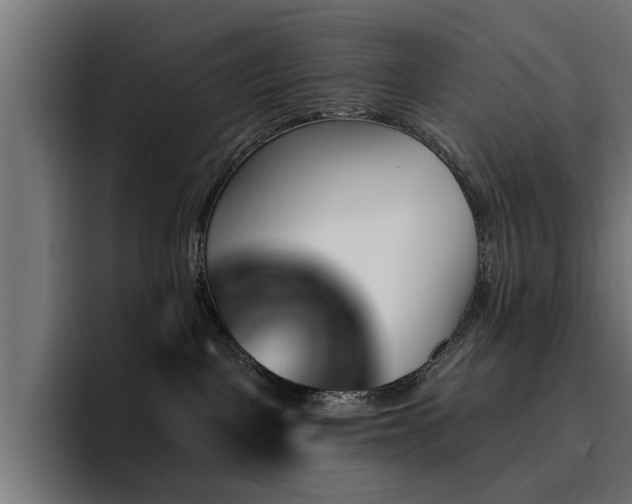 X0000094460093200711081334