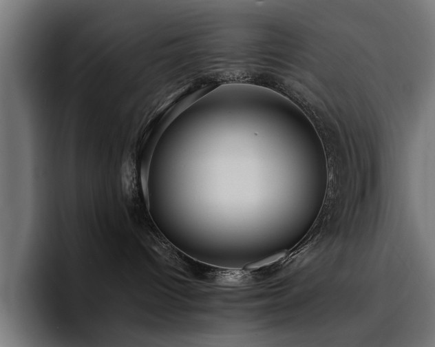 X0000094460096200711081334
