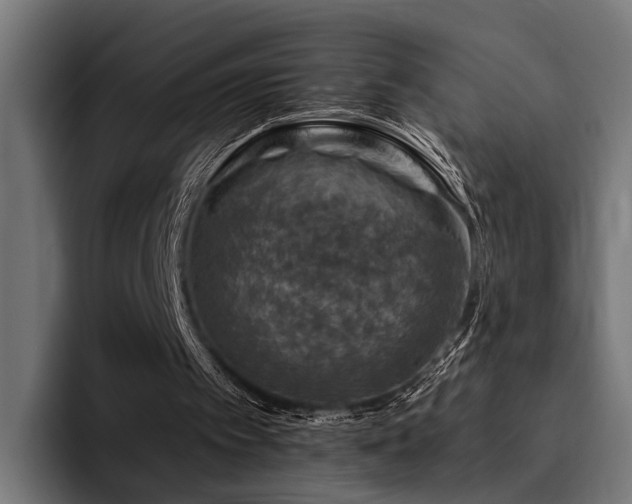 X0000094460097200711081333