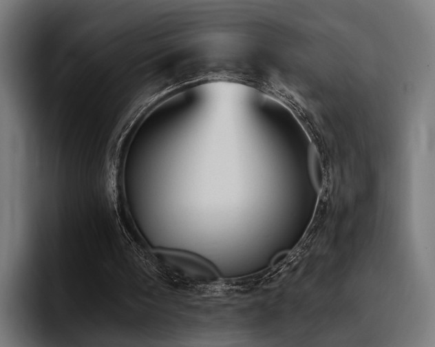 X0000094460098200711081333