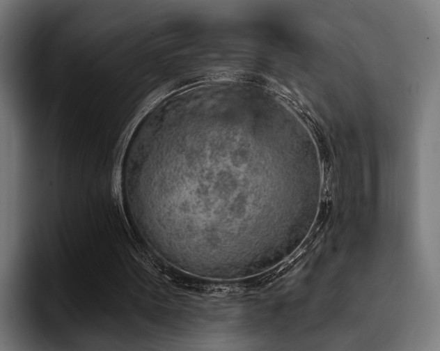 X0000094460099200711081333
