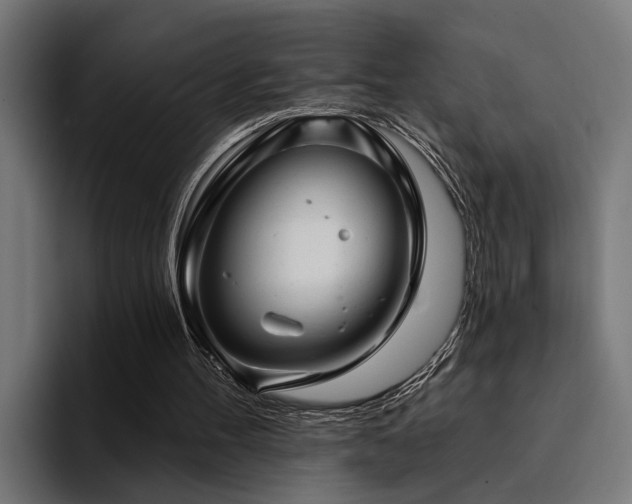 X0000094460100200711081333