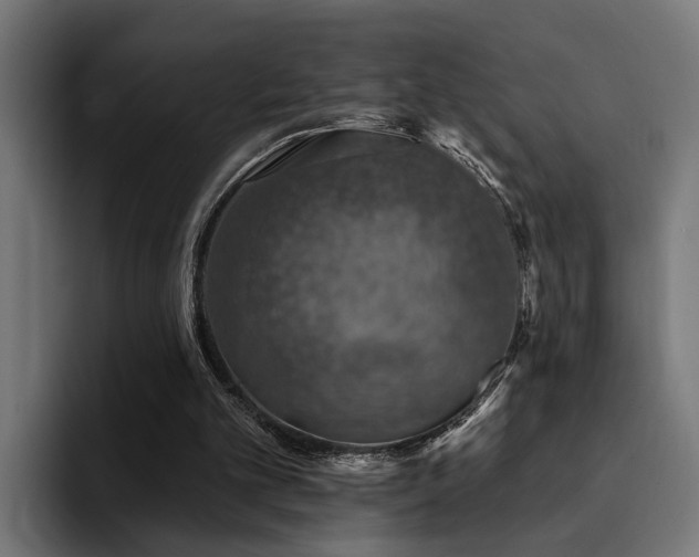 X0000094460101200711081333