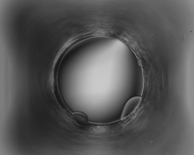 X0000094460102200711081333