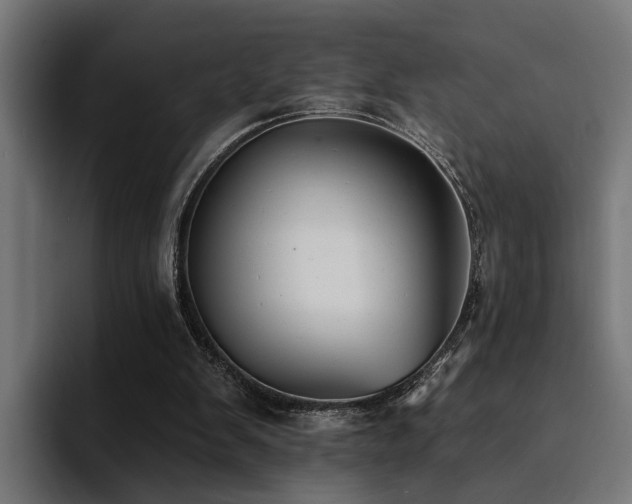 X0000094460103200711081333