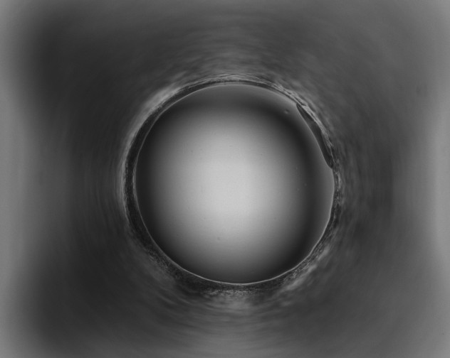 X0000094460104200711081333