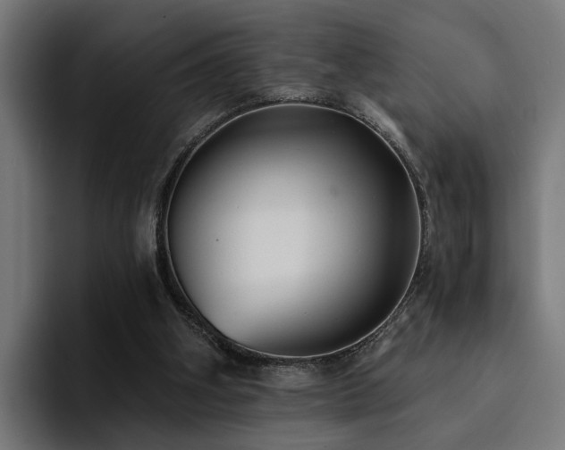 X0000094460106200711081333