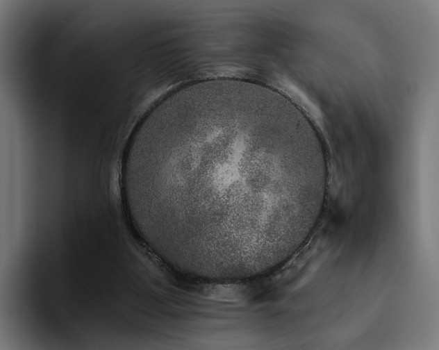 X0000094460107200711081333