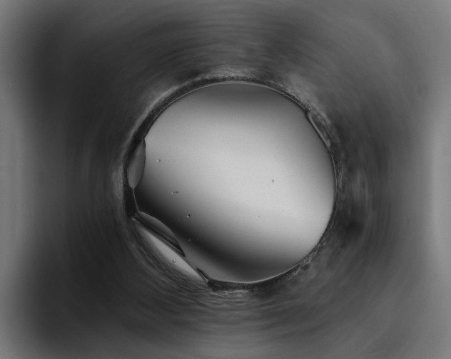 X0000094460108200711081333
