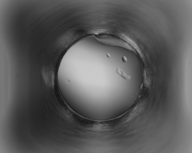 X0000094460109200711081333