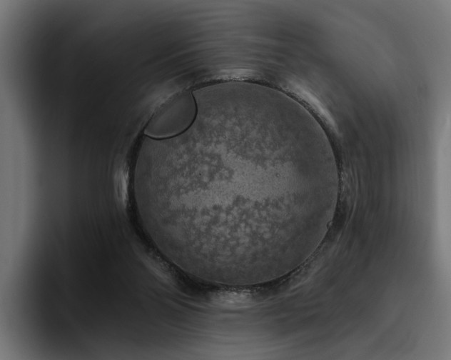 X0000094460110200711081333