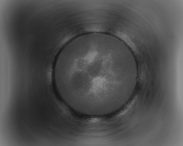 X0000094460111200711081333