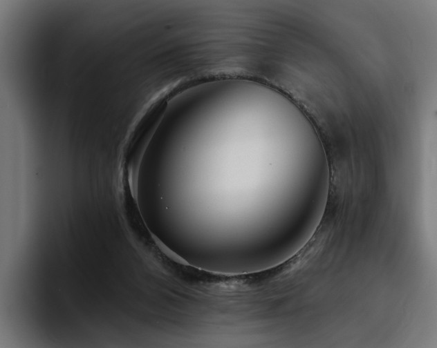 X0000094460112200711081333