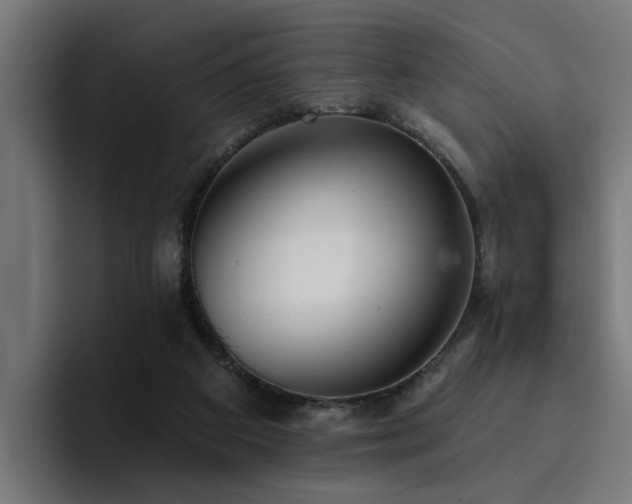 X0000094460113200711081333
