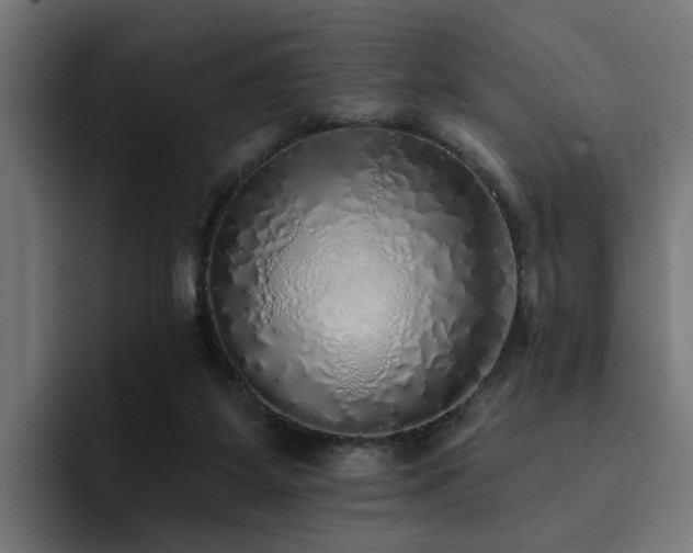 X0000094460115200711081333