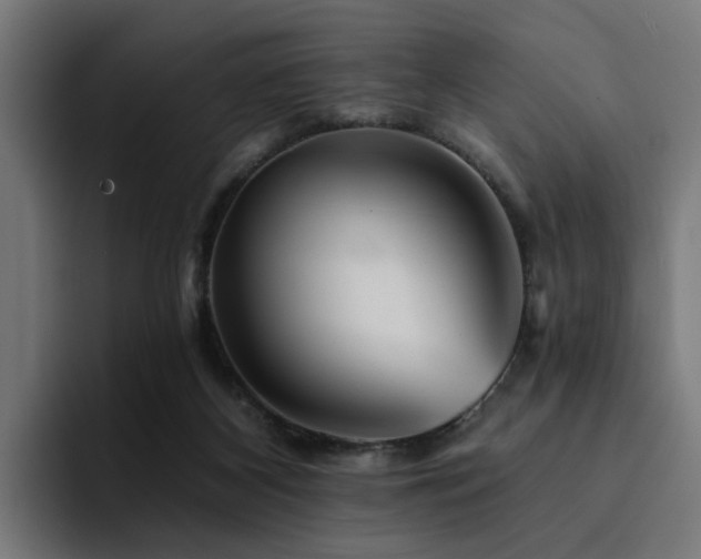 X0000094460116200711081333