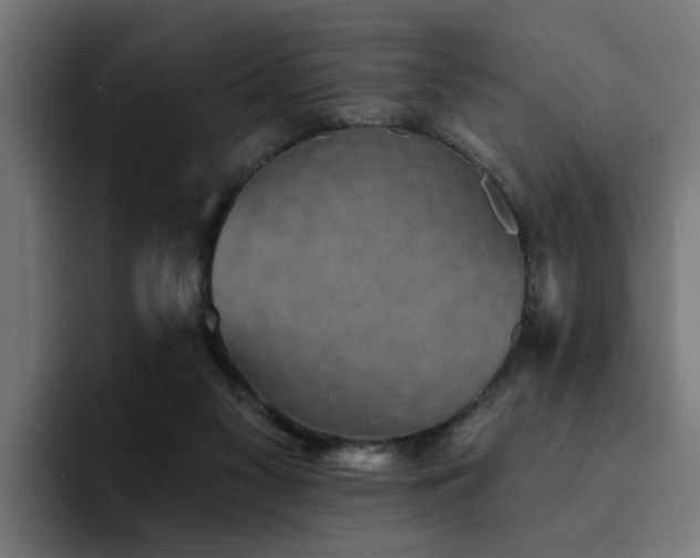X0000094460117200711081333