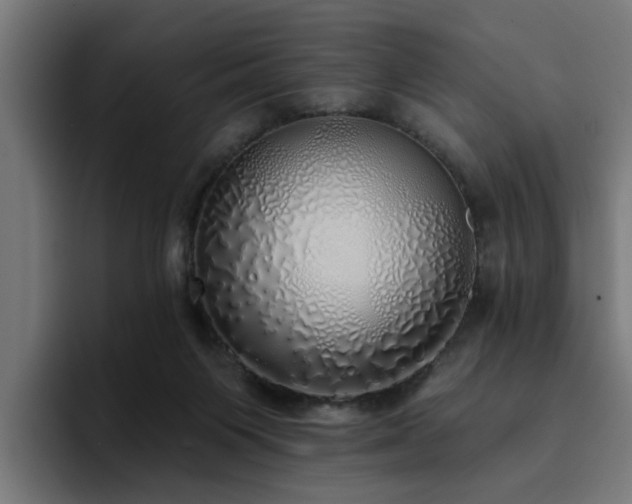 X0000094460119200711081333