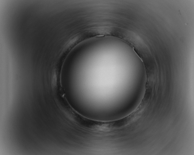 X0000094460120200711081333