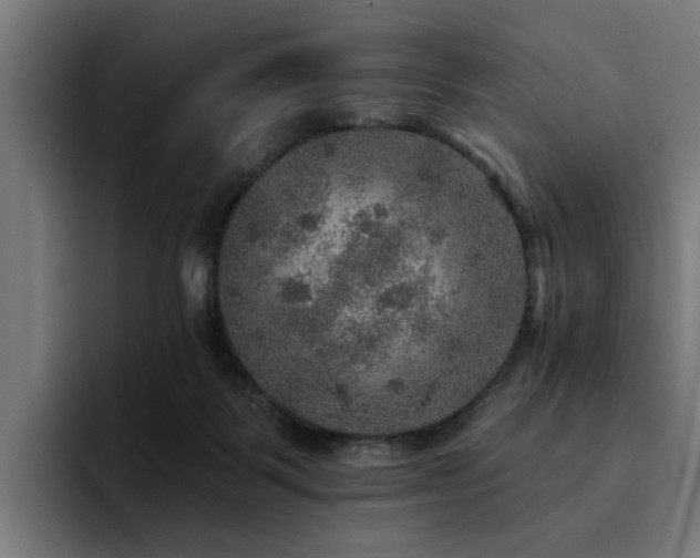 X0000094460123200711081333