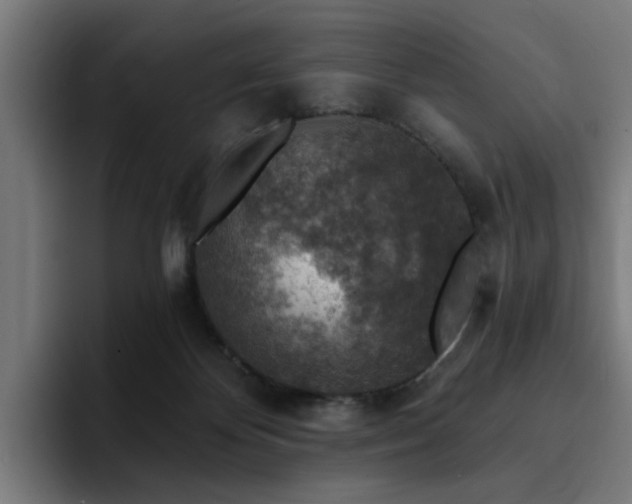 X0000094460124200711081333