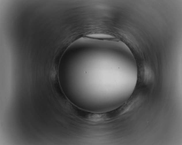 X0000094460129200711081333