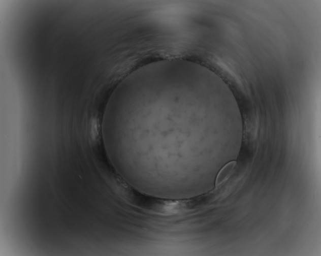 X0000094460130200711081333