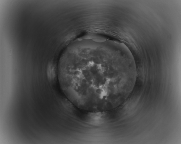 X0000094460131200711081333