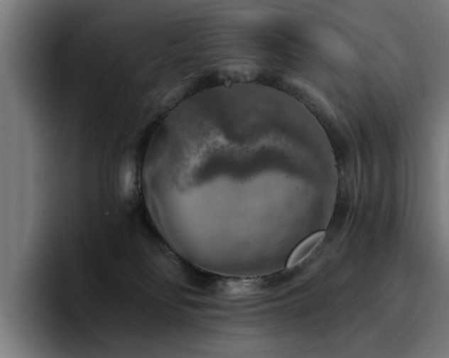 X0000094460134200711081333