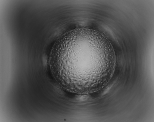 X0000094460135200711081333