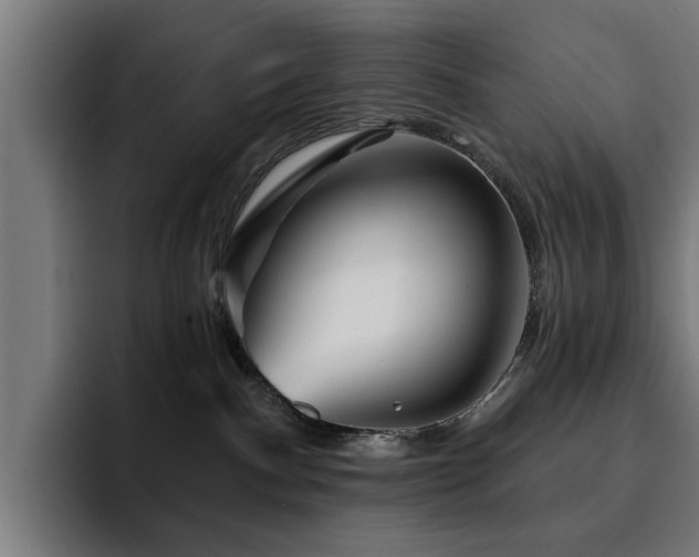 X0000094460140200711081333