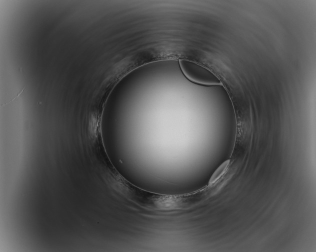 X0000094460142200711081333
