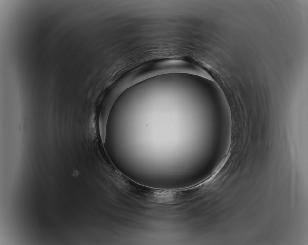 X0000094460144200711081333