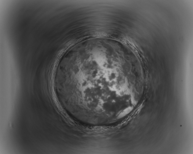 X0000094460145200711081332