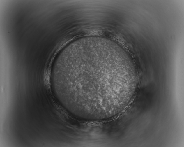 X0000094460146200711081332