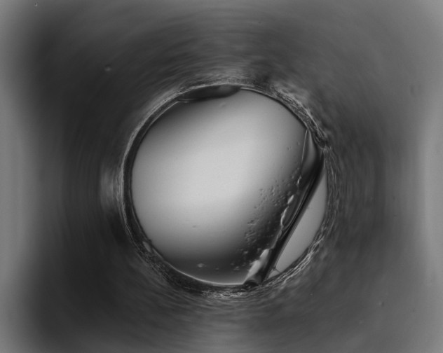 X0000094460148200711081332