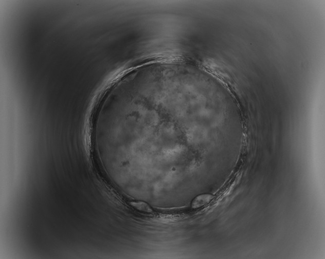 X0000094460149200711081332