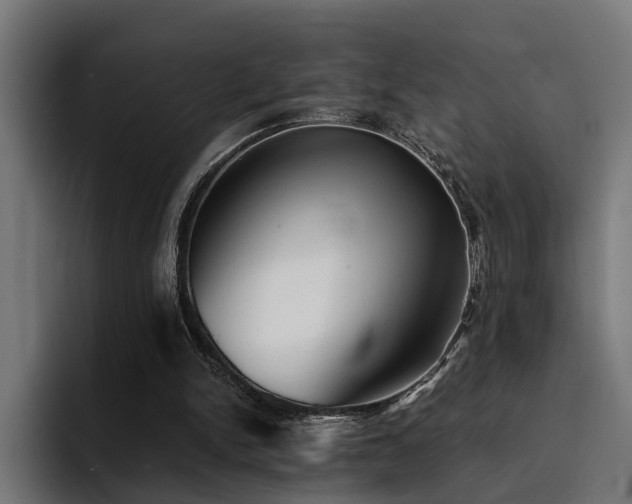 X0000094460150200711081332