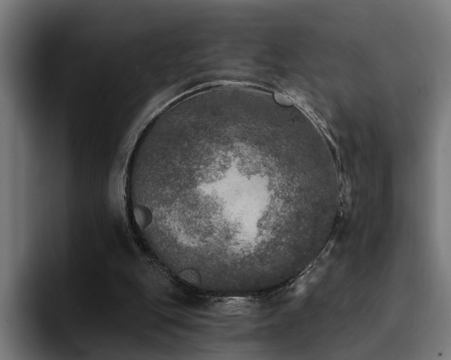 X0000094460151200711081332