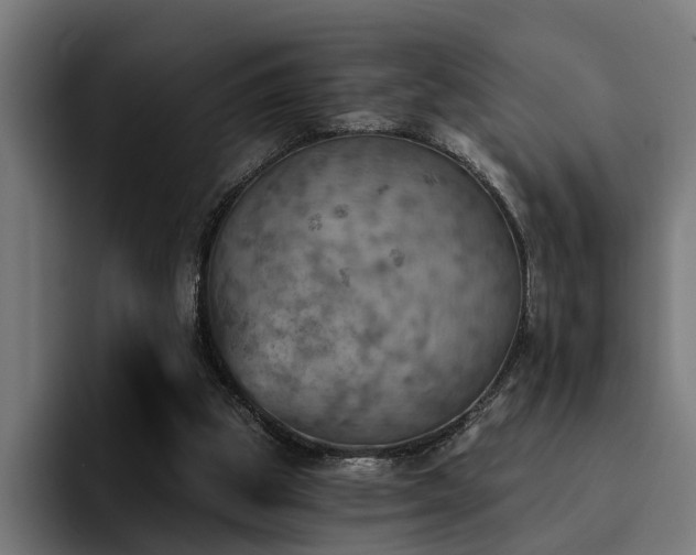 X0000094460153200711081332