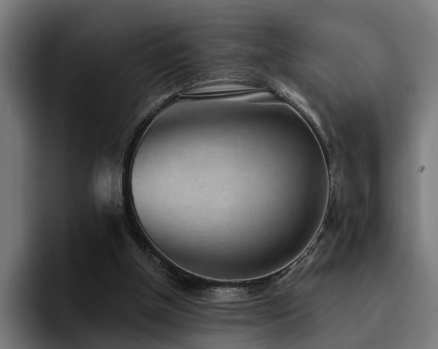 X0000094460154200711081332