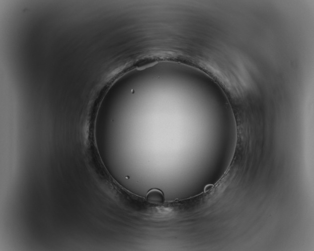 X0000094460159200711081332