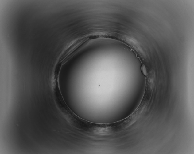 X0000094460160200711081332