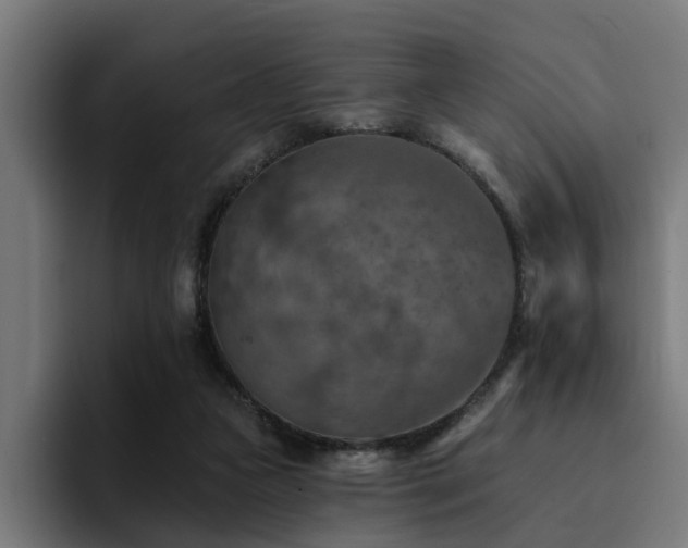 X0000094460161200711081332