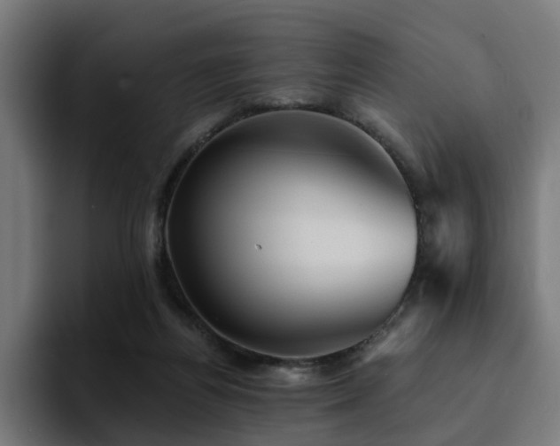 X0000094460164200711081332