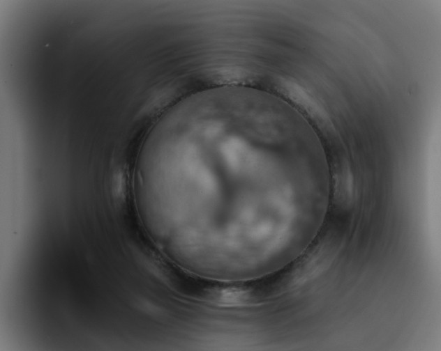 X0000094460165200711081332
