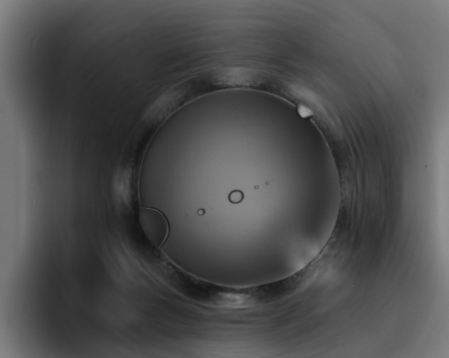X0000094460167200711081332