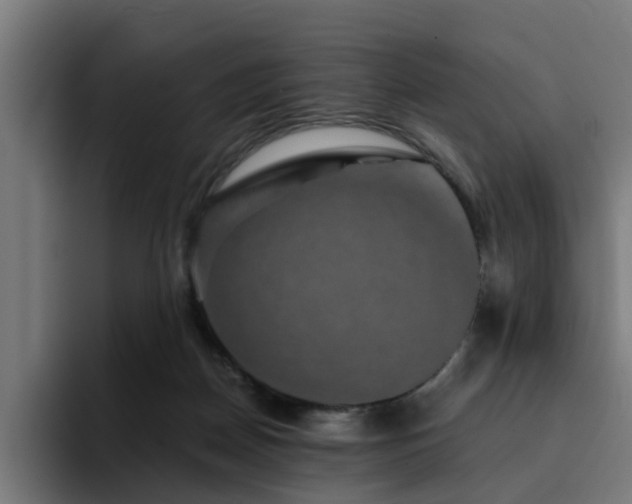 X0000094460170200711081332